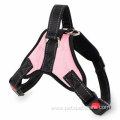 Front Range Dog Harness No Pull Dog Halter